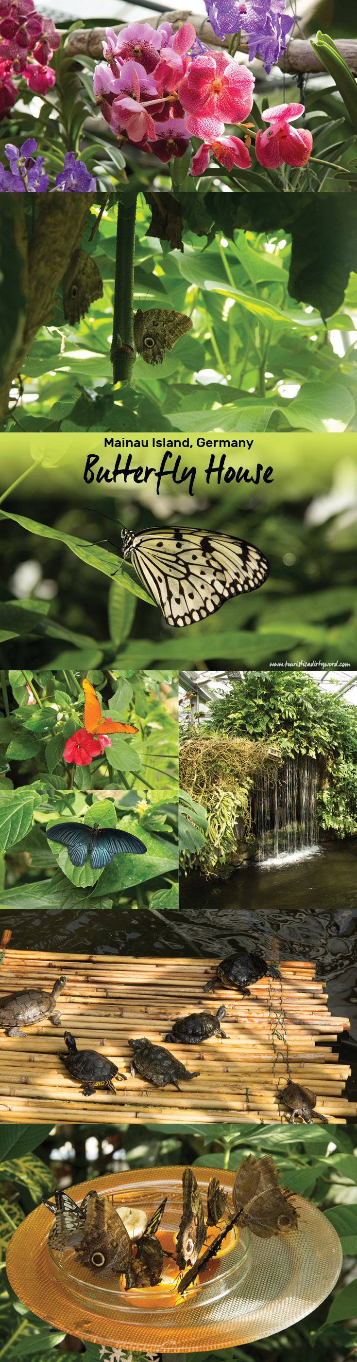 Mainau Island Butterfly House