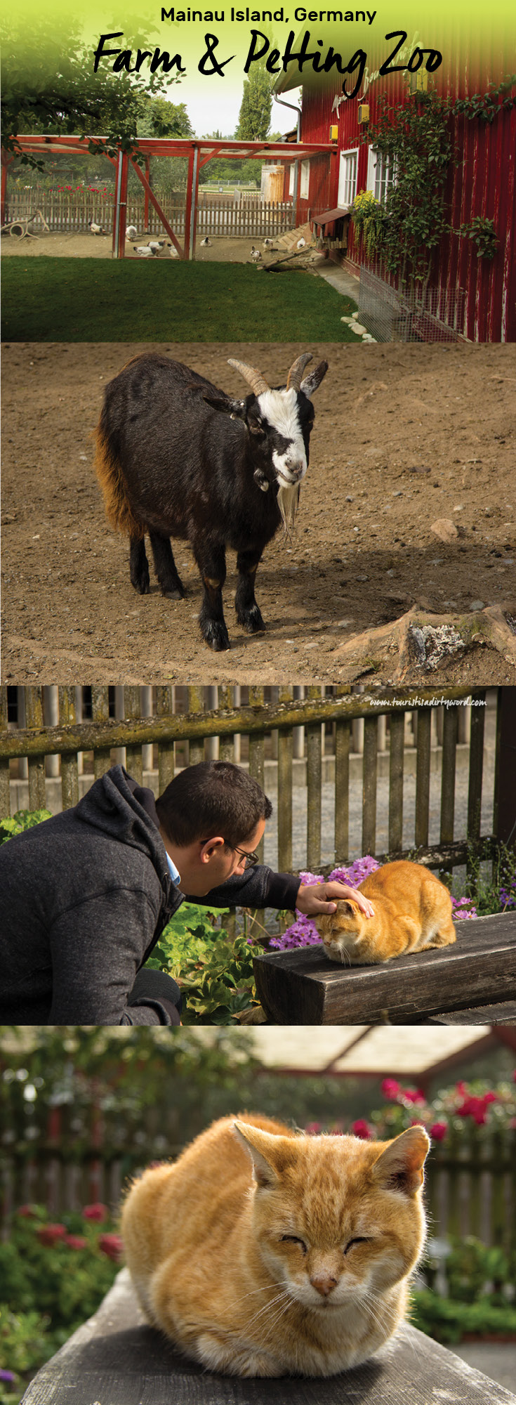 Mainau Island Farm & Petting Zoo | Germany