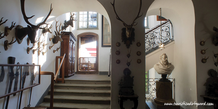 Antique Hunting trophies in Meersburg Castle