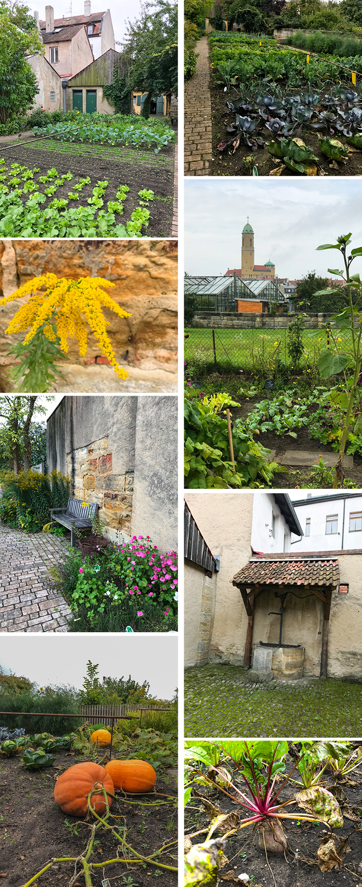The Bamberg Heritage Garden, part of the Bamberg Gardeners' and Vintners' Museum