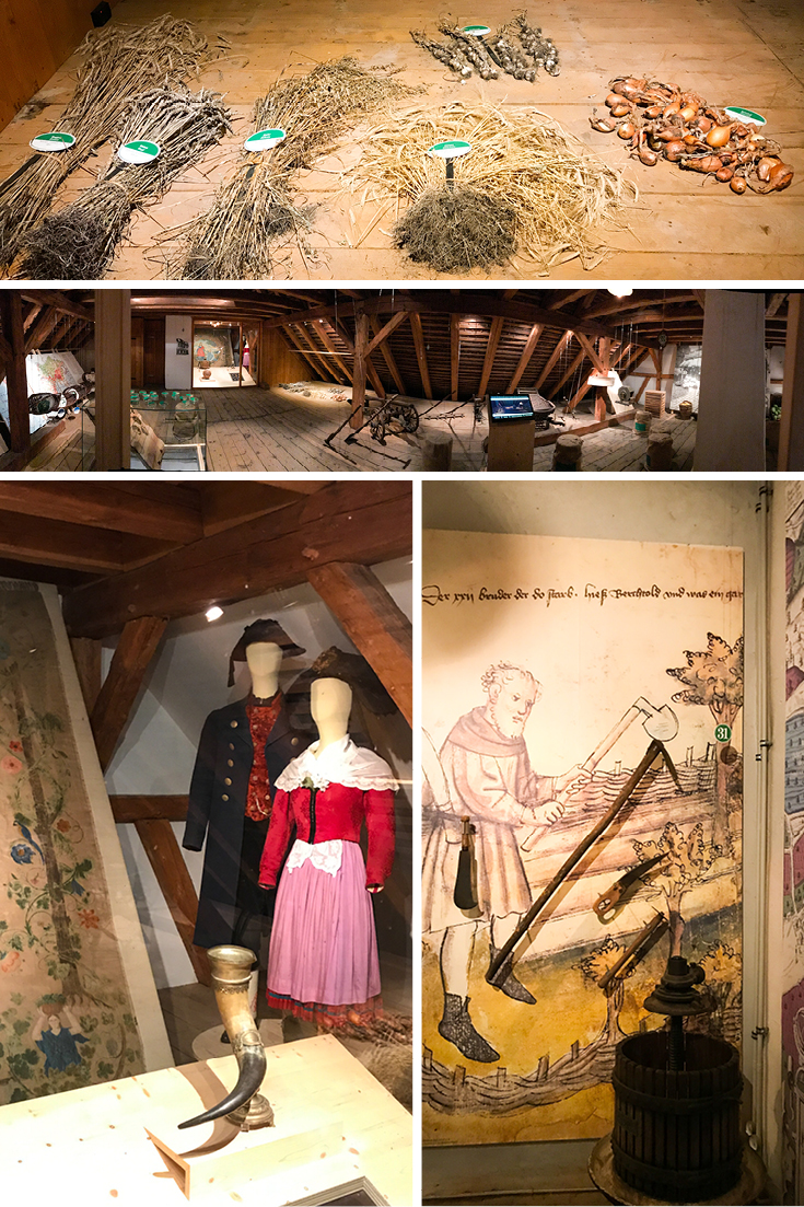 The attic of the Bamberg Gardeners' and Vintners' Museum has further exhibits and examples of the food grown, tools used, and more.