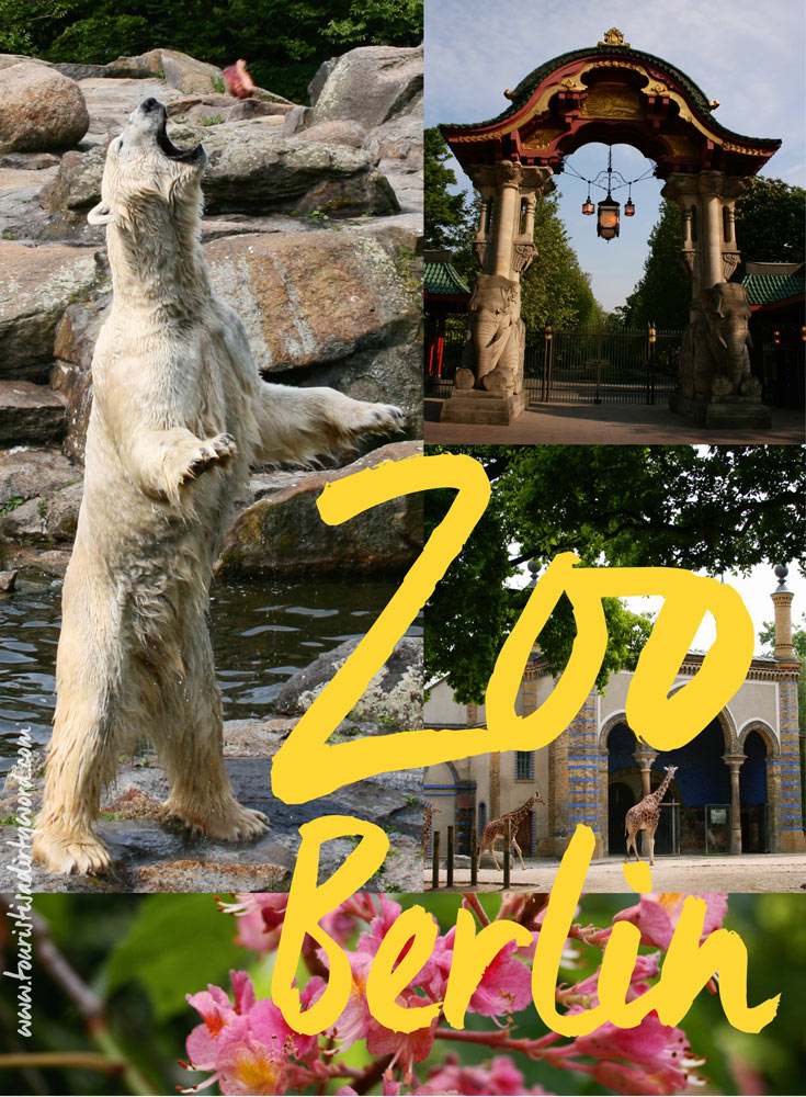 Zoo Berlin • An experience at the Berlin Zoo • Tourist is a Dirty Word Blog • Germany Travel