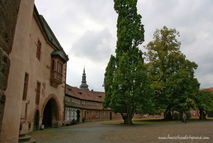 Buedingen Castle Courtyard with Tall Tree