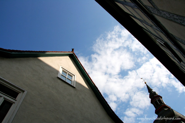 Look up in Buedingen! Adorable roof ornaments seem to be trendy there. This is a cat roof ornament.