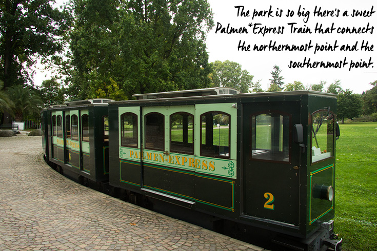 The Palmengarten Park is so big there's a sweet Palmen Express Train that connects the northernmost point and the southernmost point.