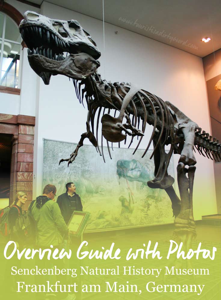Senckenberg Natural History Museum: Overview Guide with Photos • Germany Travel