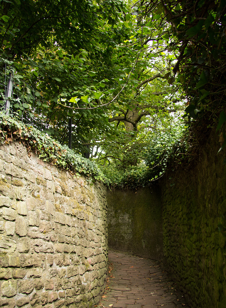 For the best panoramic views of Heidelberg, it pays to climb up the Schlangenweg, snake path. Named appropriately due to its winding path, before you get to see the stunning views, you will have to walk UP about 1600 feet. It is a steep climb up a cobblelstone path. Schlangenweg trail connects downtown Heidelberg starting at the Old Bridge up to the Philosophenweg, the philosopher's path.