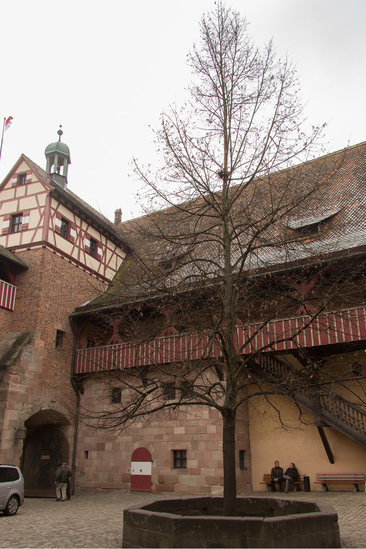 The Kunigunden Lime Tree in the Inner Court of the Imperial Castle of Nuremberg, Germany