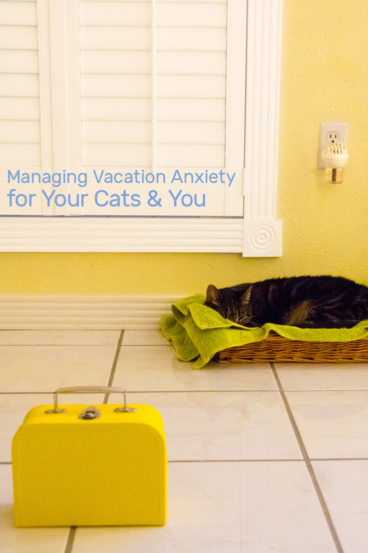 Managing Vacation Anxiety For Your Cats And You