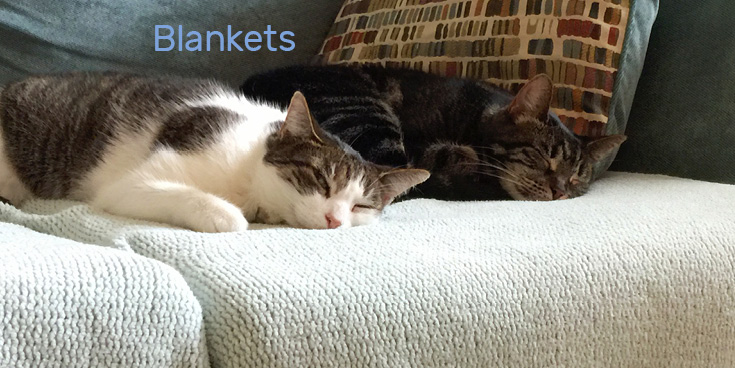 Managing Vacation Anxiety For Your Cats And You: Blankets