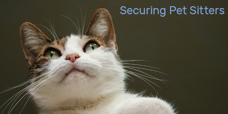 Managing Vacation Anxiety For Your Cats And You: Securing Pet Sitters