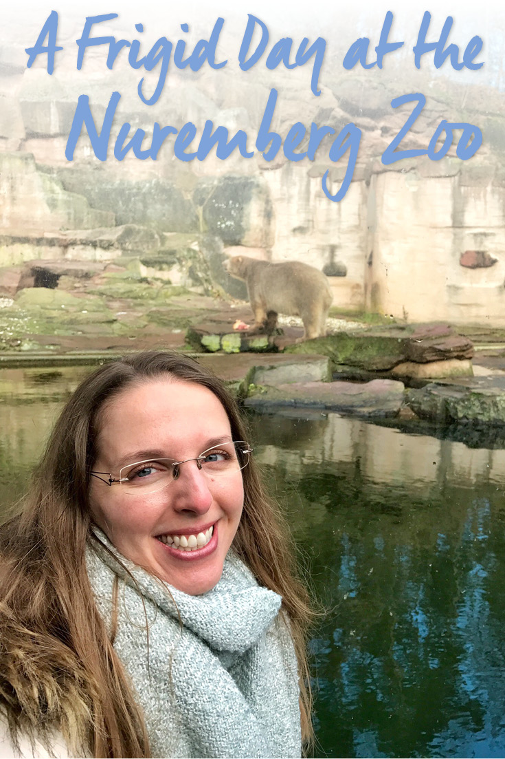 Visiting the polar bears in the Nuremberg Zoo, Germany